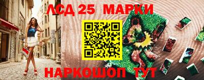 шишки Заволжье