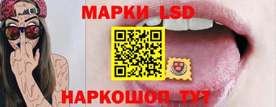 шишки Заволжье
