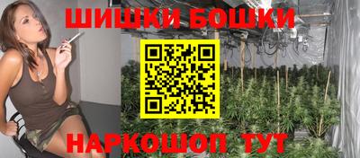 шишки Заволжье