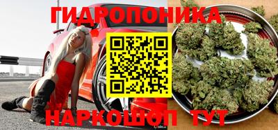 шишки Заволжье