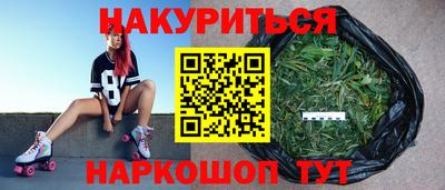 шишки Заволжье