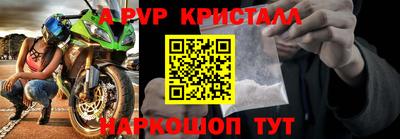 шишки Заволжье